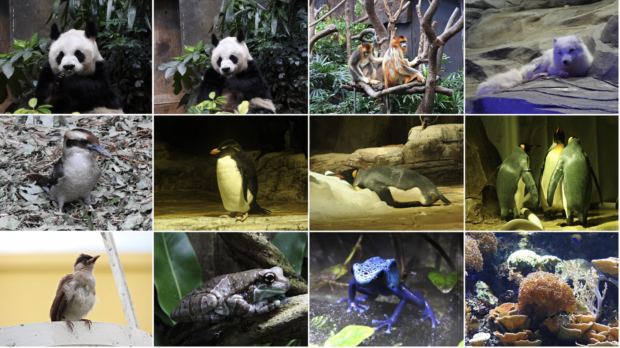 Ocean Park Hong Kong